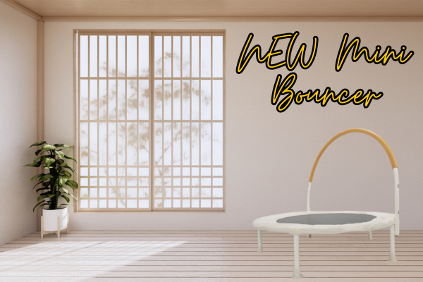 Small But Mighty: Say Hello to Our Mini Trampoline